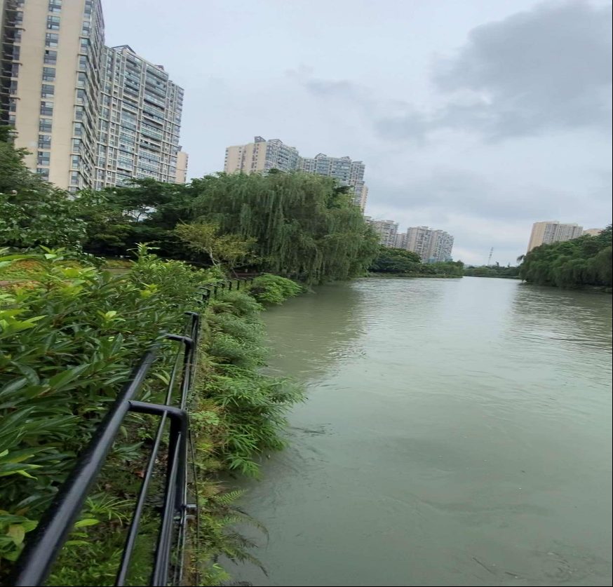 成都温江丽晶港地下室突涌水害治理